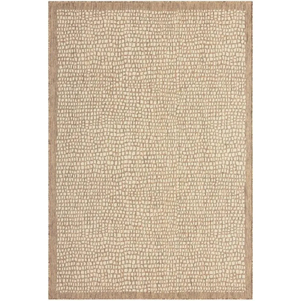 Indoor and Outdoor Area Rug