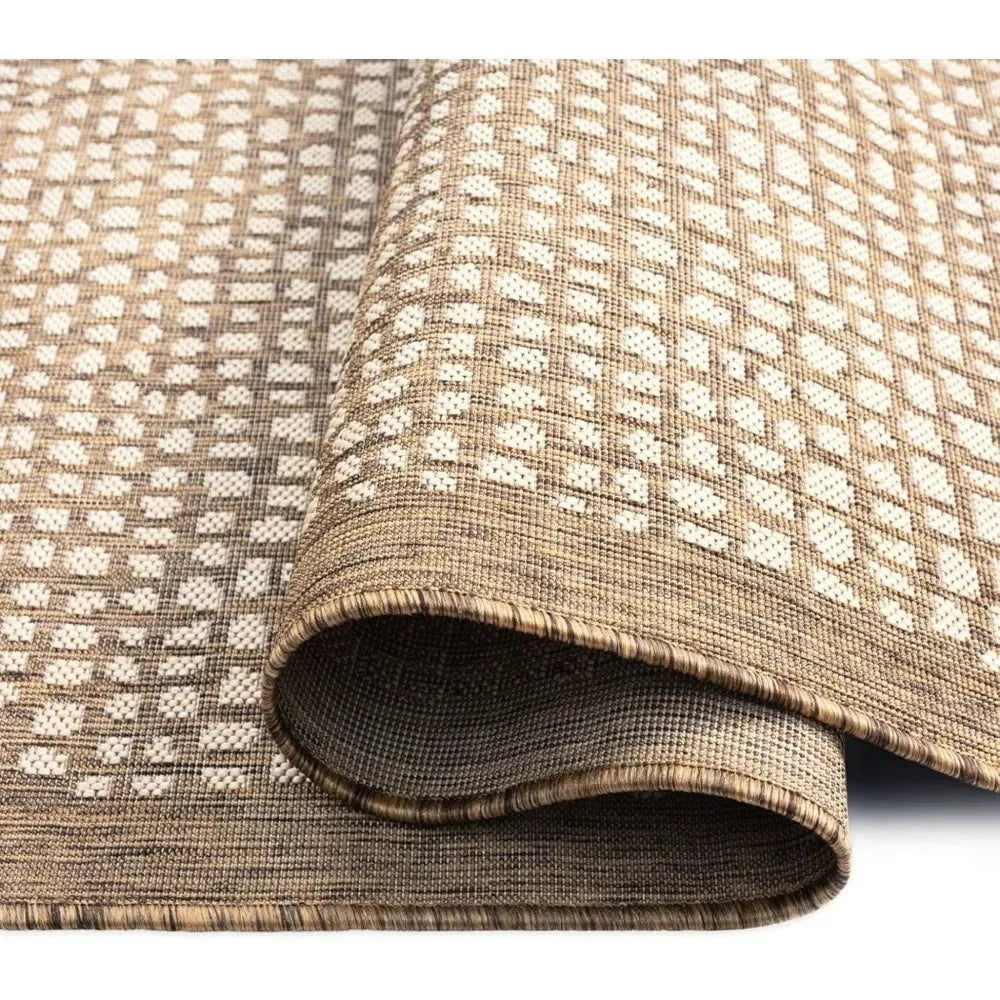 Indoor and Outdoor Area Rug