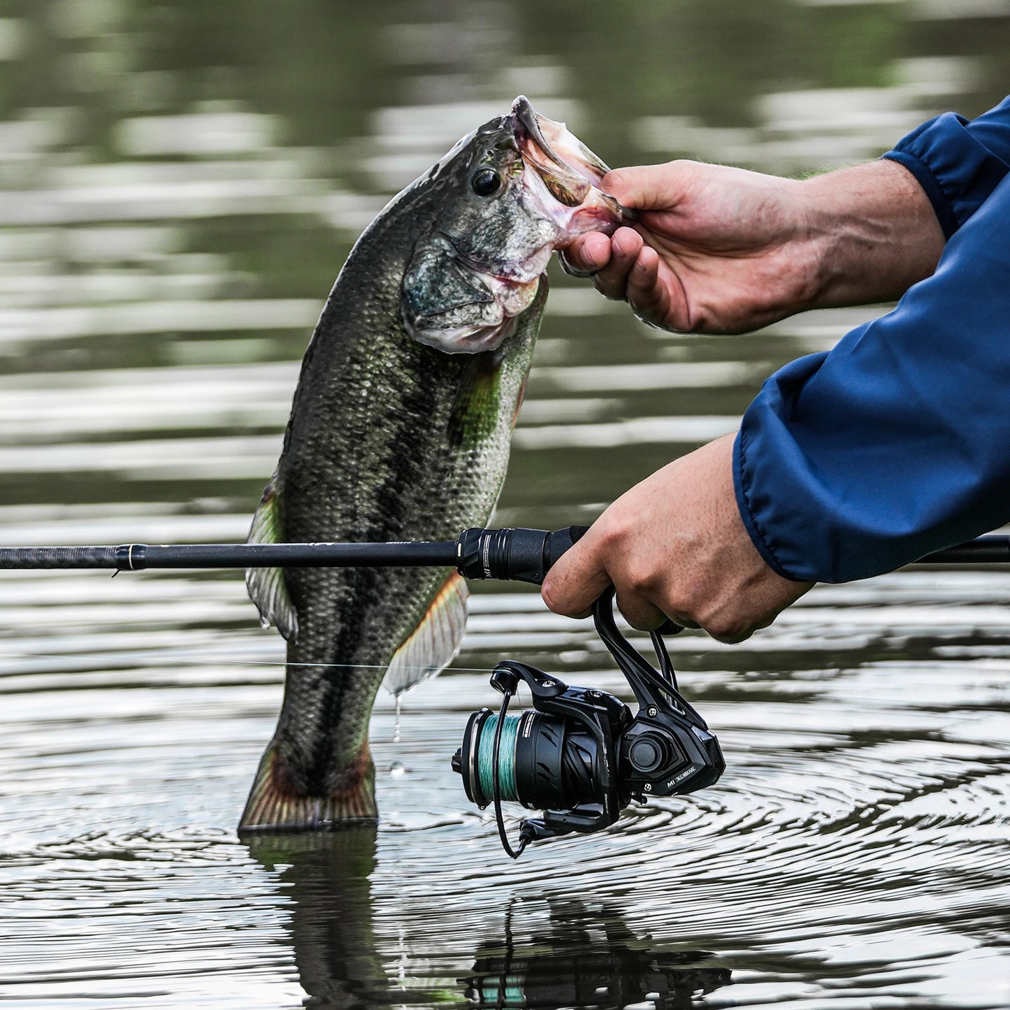 One Piece Fishing Rod