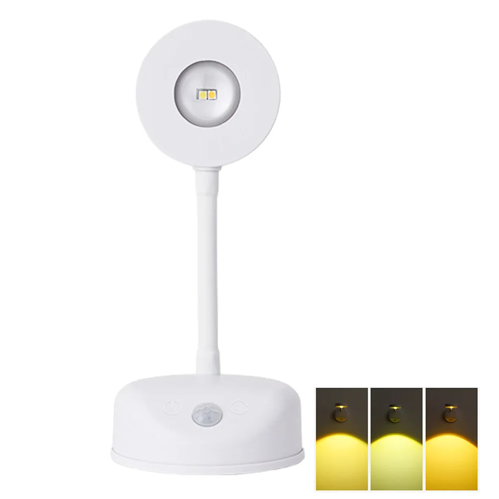 LED Picture Wall Light Motion Sensor