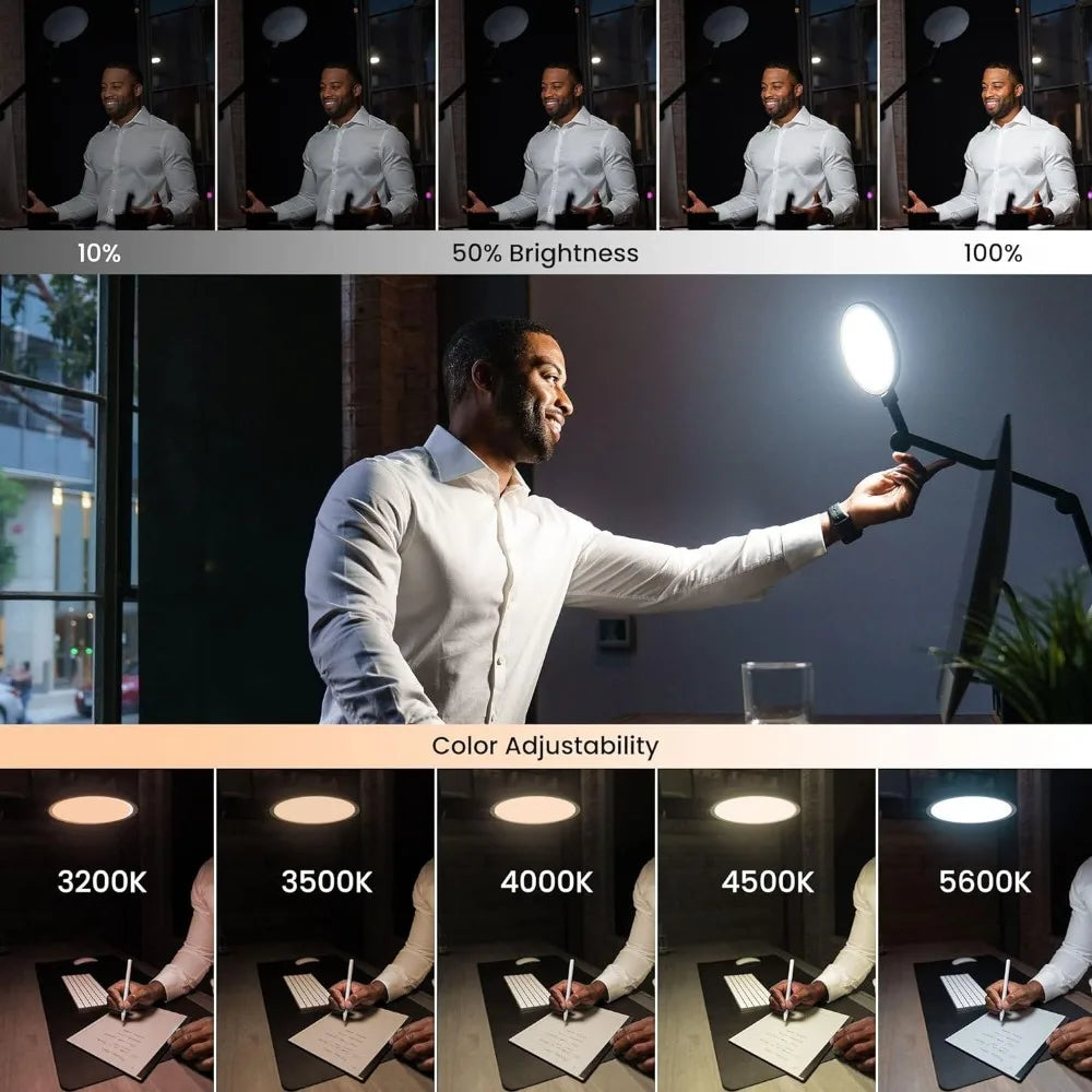 LED Desk Lamp