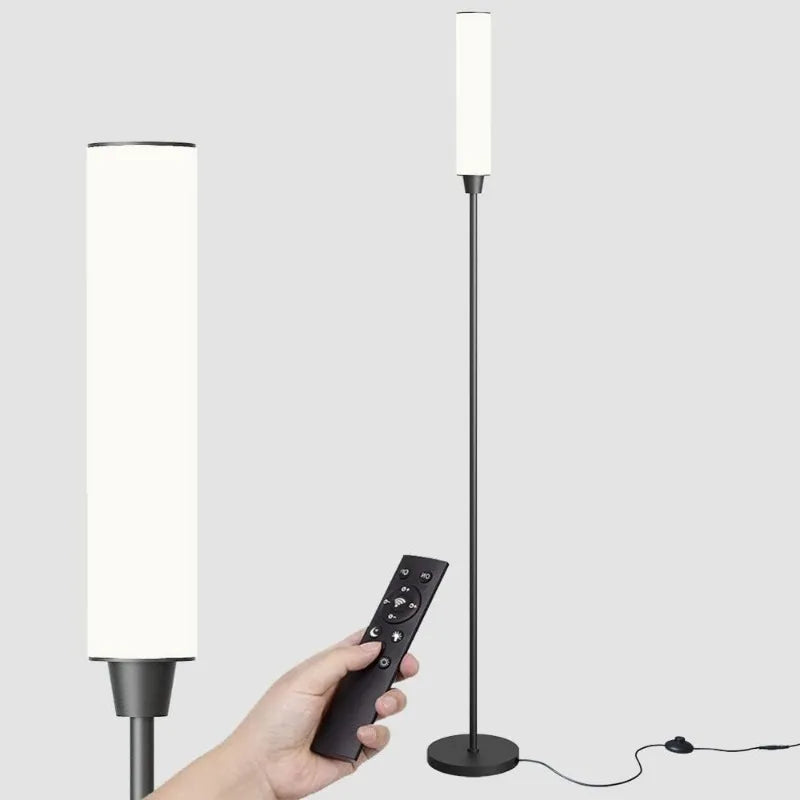 Floor Lamp with Remote Control