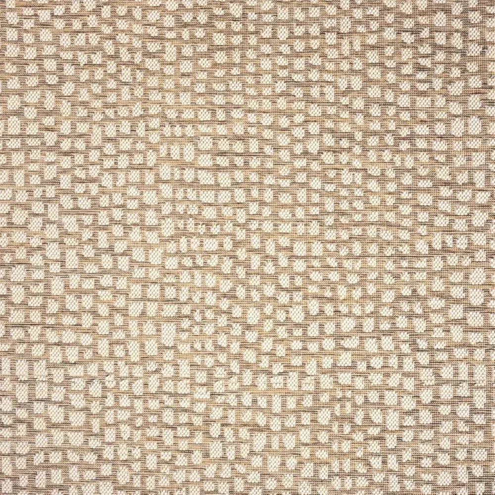 Indoor and Outdoor Area Rug