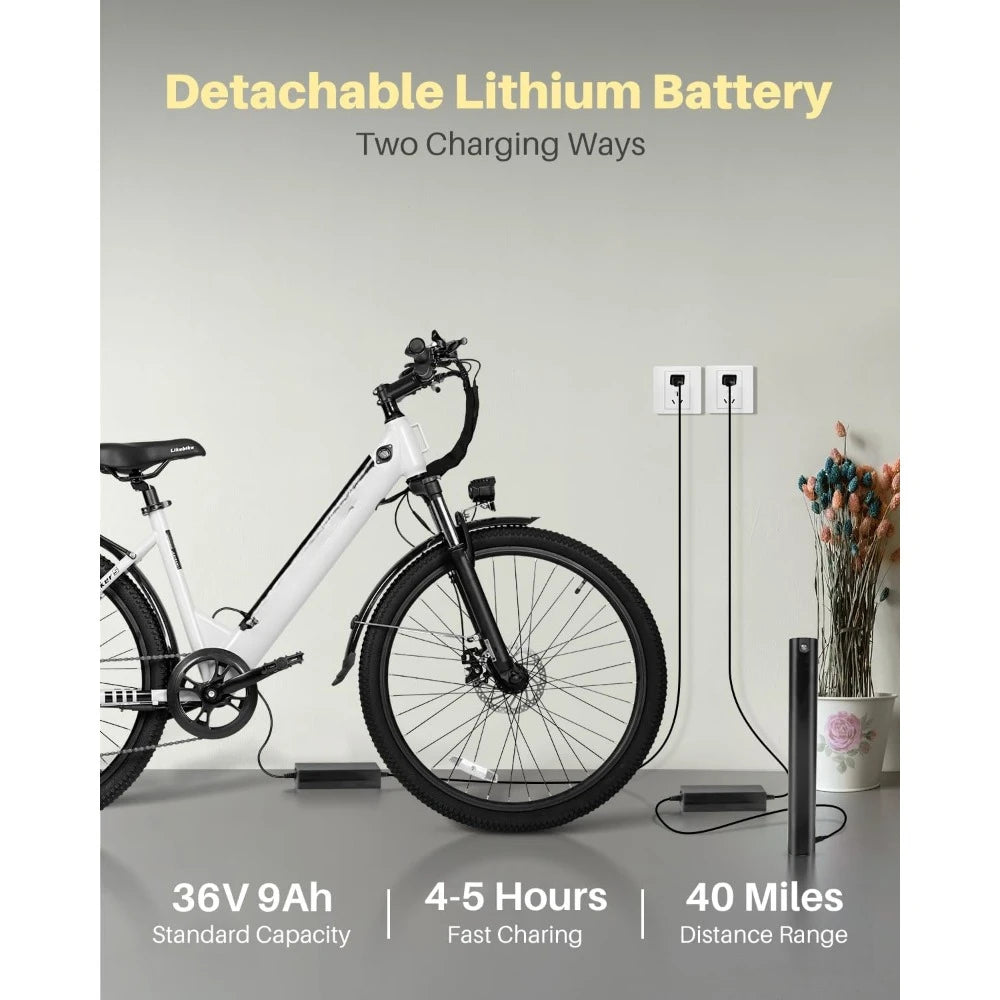 Electric Bike