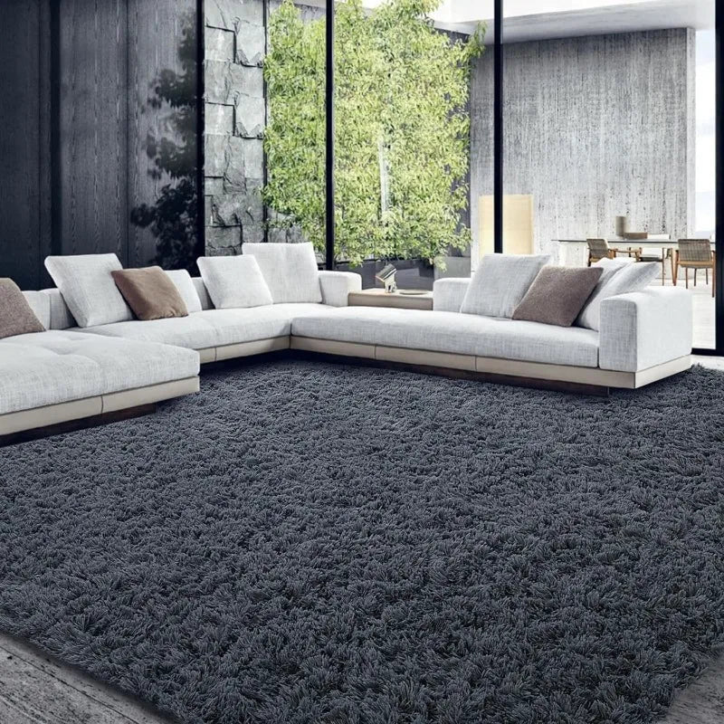 Shaggy Area Rug 9x12 Feet