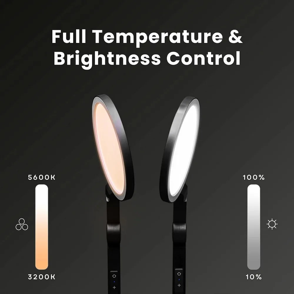 LED Desk Lamp
