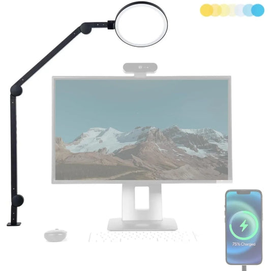 LED Desk Lamp